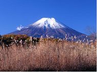 刷民生銀行信用卡，享中國旅行社全價半價優惠